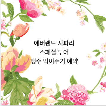 에버랜드 사파리 스페셜 투어 맹수 먹이주기 예약