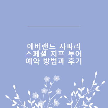 에버랜드 사파리 스페셜 지프 투어 예약 방법과 후기