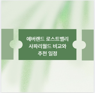 에버랜드 로스트밸리 사파리월드 비교와 추천 일정