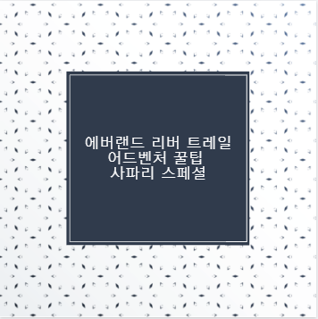 에버랜드 리버 트레일 어드벤처 꿀팁 사파리 스페셜