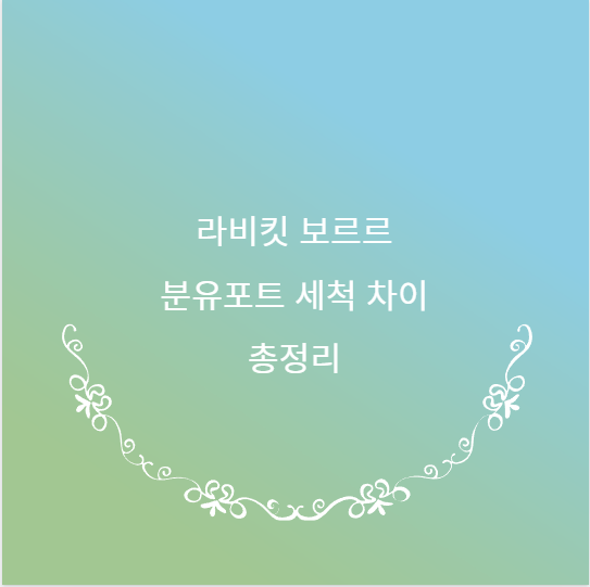 라비킷 보르르 분유포트 세척 차이 총정리