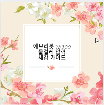 에브리봇 TS300 물걸레 압력 체감 가이드